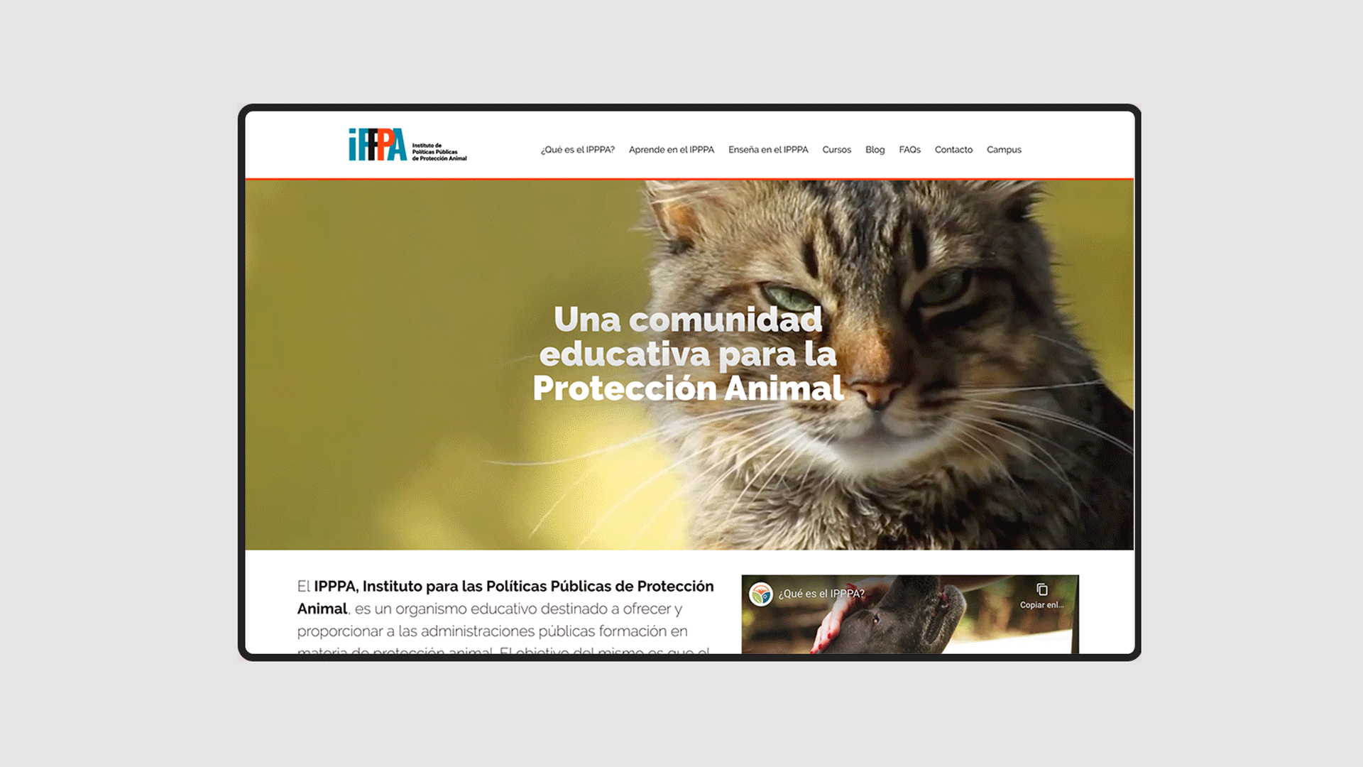 IPPPA – El Instituto de Políticas Públicas de Protección Animal