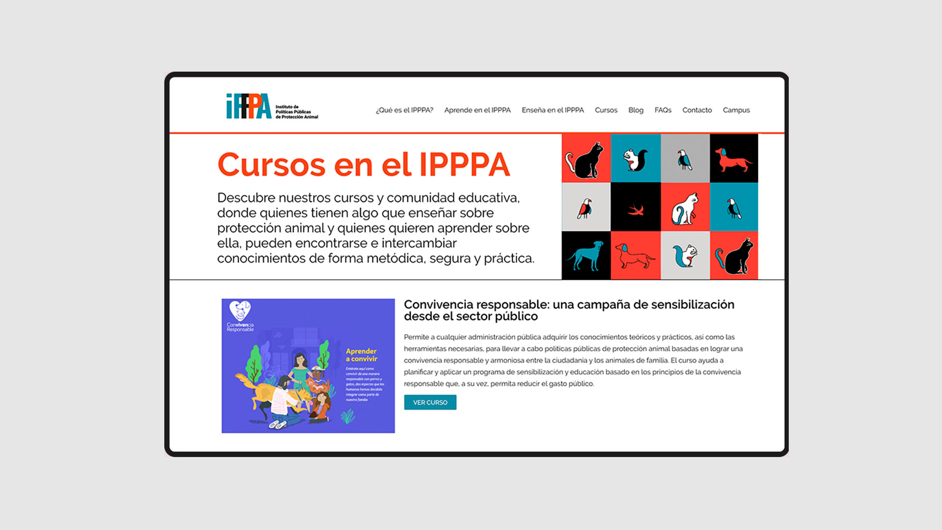 pagina-cursos del_ipppa